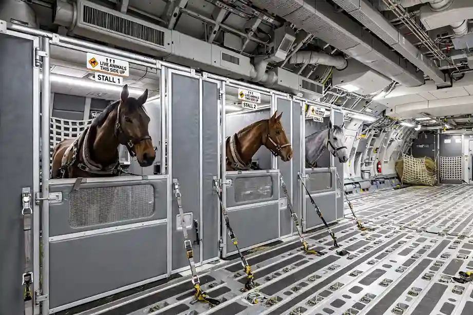 Live animal charter — racehorses and livestock by air