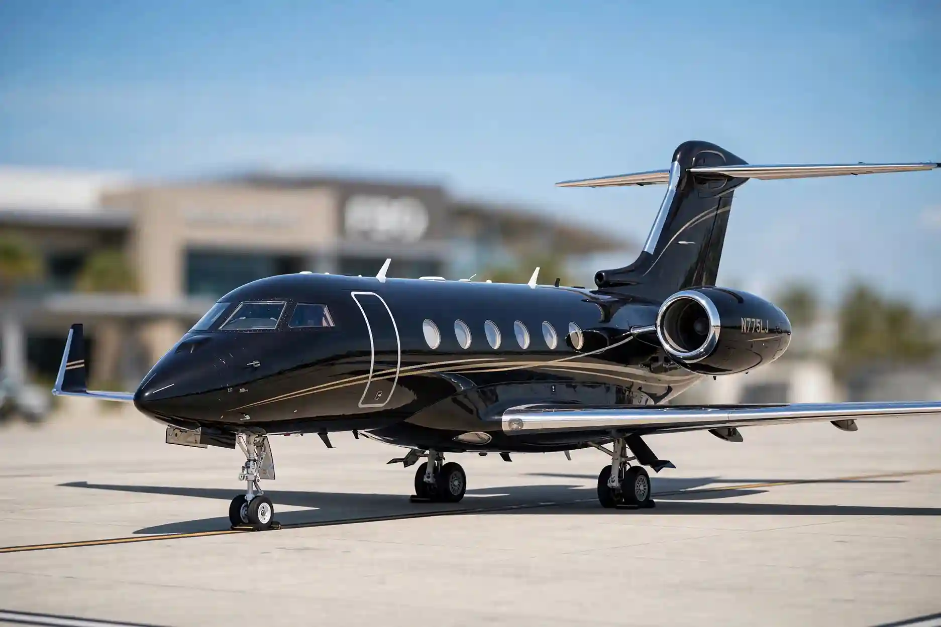 Private Jet Empty Leg Flight